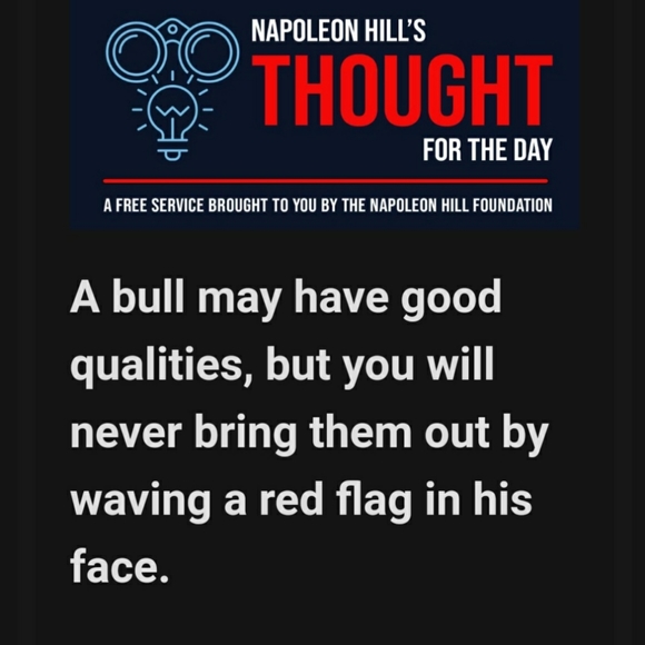 Prefered - Picture 12 of 16